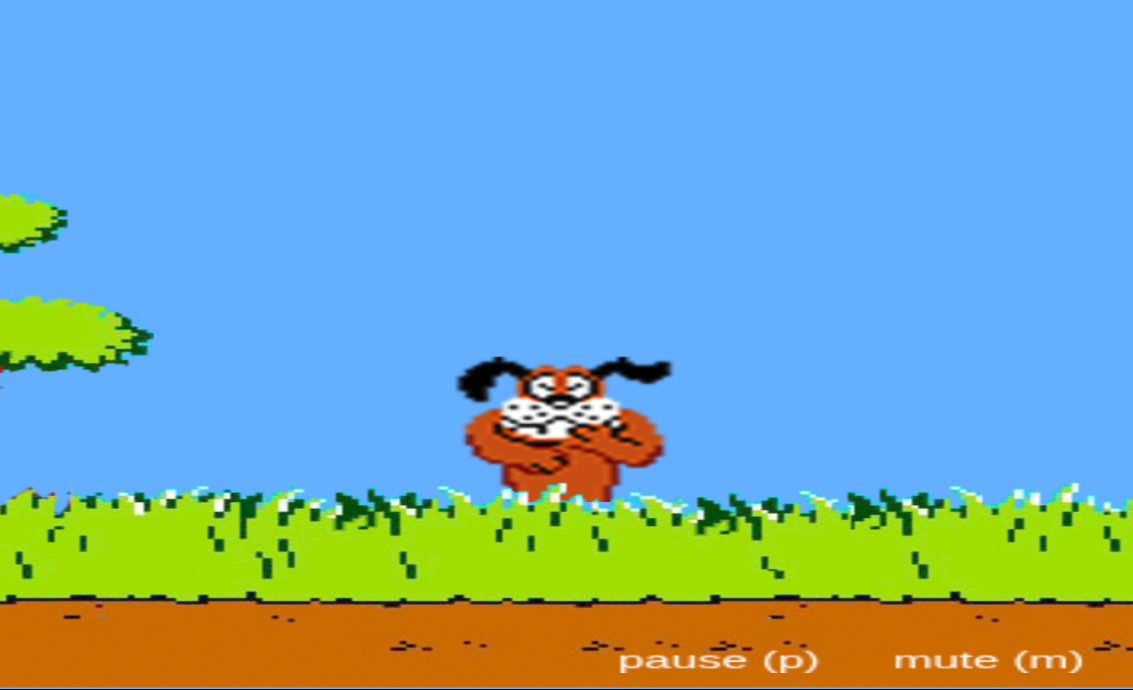 Duck Hunt Game preview
